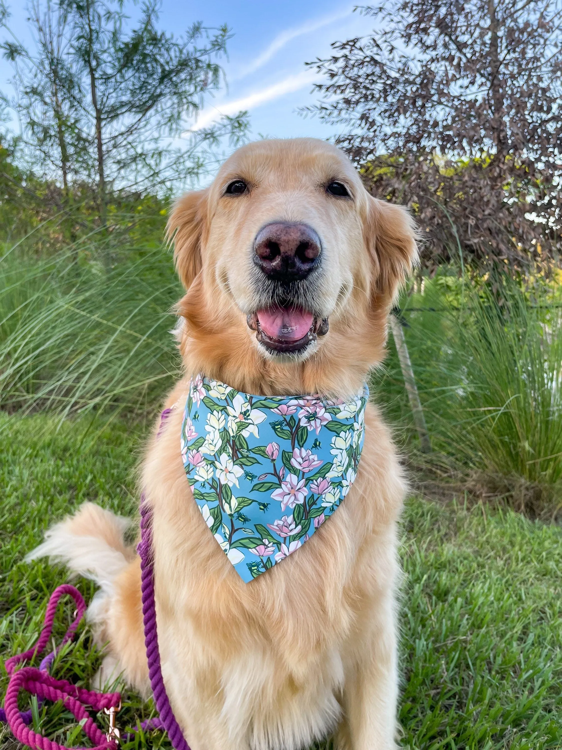 All A Buzz Bandana